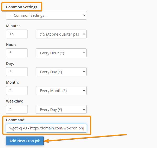 cron jobs common settings