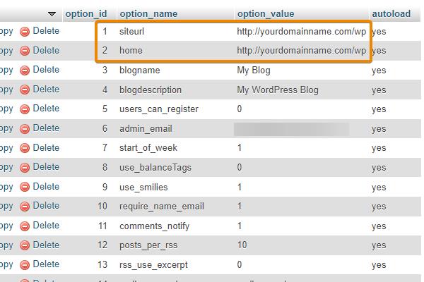 delete wp in the siteurl and home option names